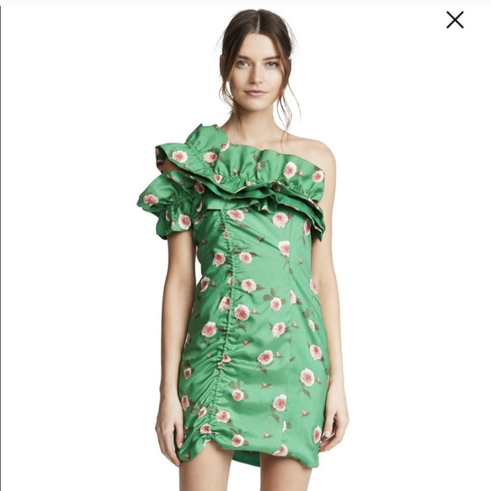 Viva Aviva Sonata green dahlia print silk dress